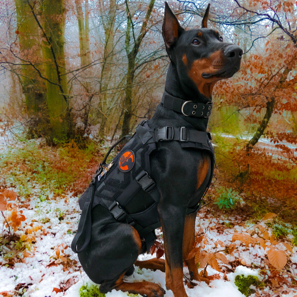 X ARMOR TACTICAL kutyahám
