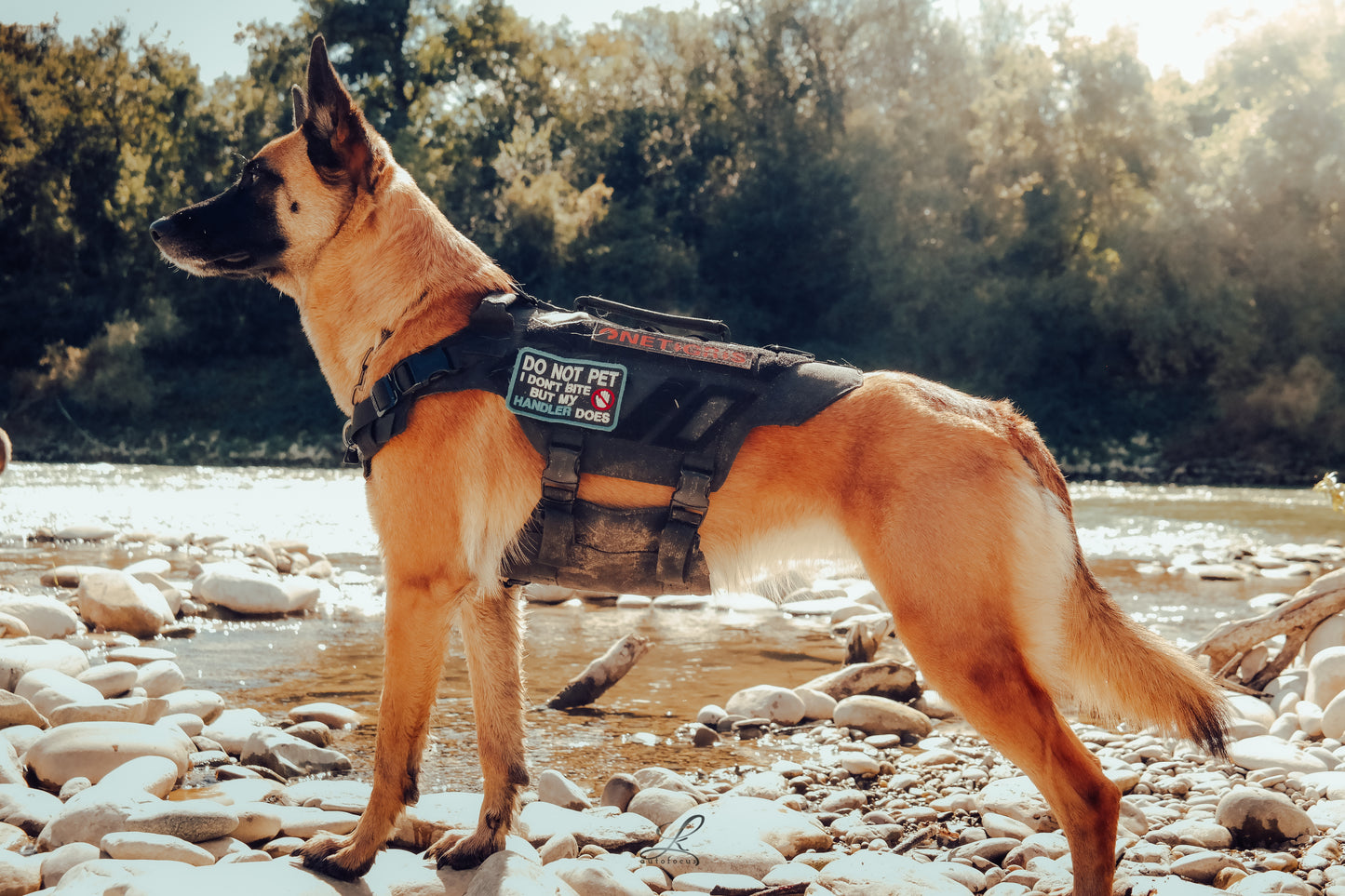 X ARMOR TACTICAL kutyahám